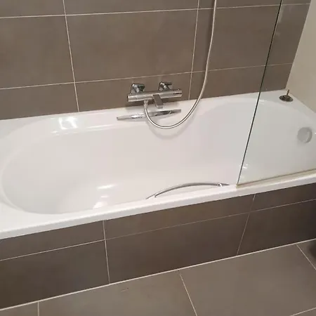 Deer Vlakbij Zee En Gratis P * Ostende